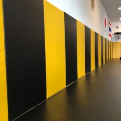 AK Athletic Equipment Custom Wood Backed Gym Wall Padding Panels 2' X 4'