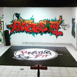 AK Athletic Equipment Wrestling Mats Your Design Digitally Printed 12' X 12' Roll Up Light Weight Wrestling Mat